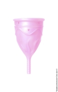 Менструальные чаши - менструальная чаша femintimate eve cup фото