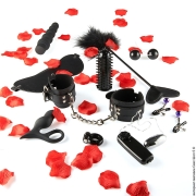 Комплекты и наборы BDSM аксессуаров - секс набор amazing pleasure sex toy kit фото