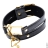 Ошейник FF GOLD COLLAR &amp; LEASH