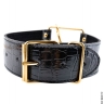 Ошейник FF GOLD COLLAR &amp; LEASH - Ошейник FF GOLD COLLAR &amp; LEASH
