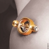 Зажимы для сосков FF GOLD MAGNETIC NIPPLE CLAMPS - Зажимы для сосков FF GOLD MAGNETIC NIPPLE CLAMPS