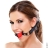 Кляп Fetish Fantasy Series Two Tone Ball Gag