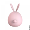 Вакуумный стимулятор-кролик с вибрацией KissToy Miss KK Pink - Вакуумный стимулятор-кролик с вибрацией KissToy Miss KK Pink