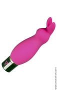 Водонепроникні вібратори (сторінка 17) - вібратор - lil'rabbit vibrator фото