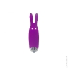 Вибропуля со стимулирующими ушками Adrien Lastic Pocket Vibe Rabbit Purple - Вибропуля со стимулирующими ушками Adrien Lastic Pocket Vibe Rabbit Purple