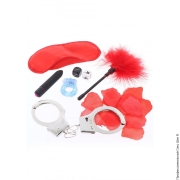 Садо-мазо (БДСМ) игрушки и аксессуары - подарочный набор scala the naughty birthday kit фото