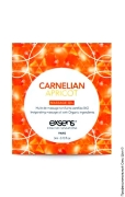 Первый секс шоп (сторінка 43) - пробник масажного масла - exsens carnelian apricot, 3ml фото