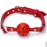 Набір для БДСМ-сесії - Classic captive - Набір для БДСМ-сесії - Classic captive