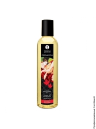 Фото органічне масажне масло з вітаміном е shunga organica - maple delight (кленовий сироп) в профессиональном Секс Шопе