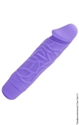 Водонепроникні вібратори (сторінка 17) - вібратор - classic mini vibrator фото