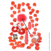 Набори вібраторів - набір для романтики red romance gift set фото