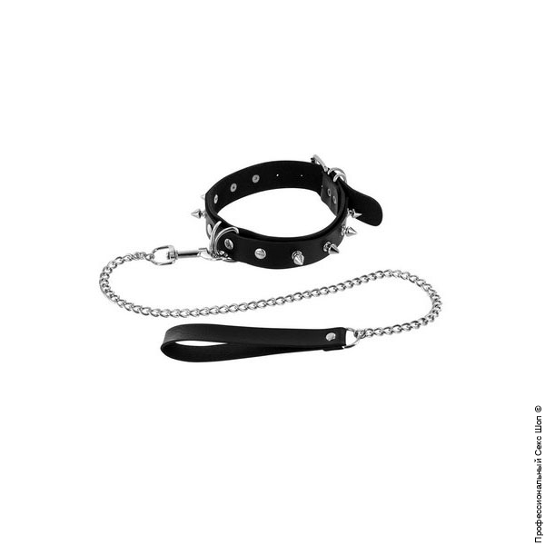 Leash Fetish