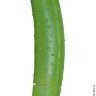 Фаллоимитатор - Cucumber, йвет: зеленый - Фаллоимитатор - Cucumber, йвет: зеленый