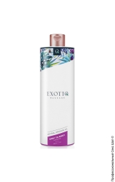 Фото разогревающее массажное масло - exotiq body to body warming massage oil, 500ml в профессиональном Секс Шопе