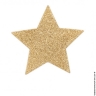 Украшение на соски Bijoux Indiscrets Flash Star - Украшение на соски Bijoux Indiscrets Flash Star