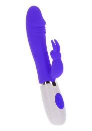 Фото toy joy funky rabbit - вибратор-кролик, 19х3 см (фиолетовый) в профессиональном Секс Шопе