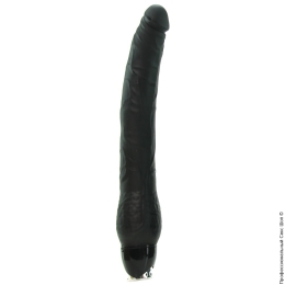Фото анальный вибратор monster meat long в профессиональном Секс Шопе
