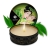Shunga Massage Candle - Массажная свеча с ароматом зелёного чая, 30 мл 